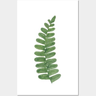 Neuropteris Ovata, fossil fern Posters and Art